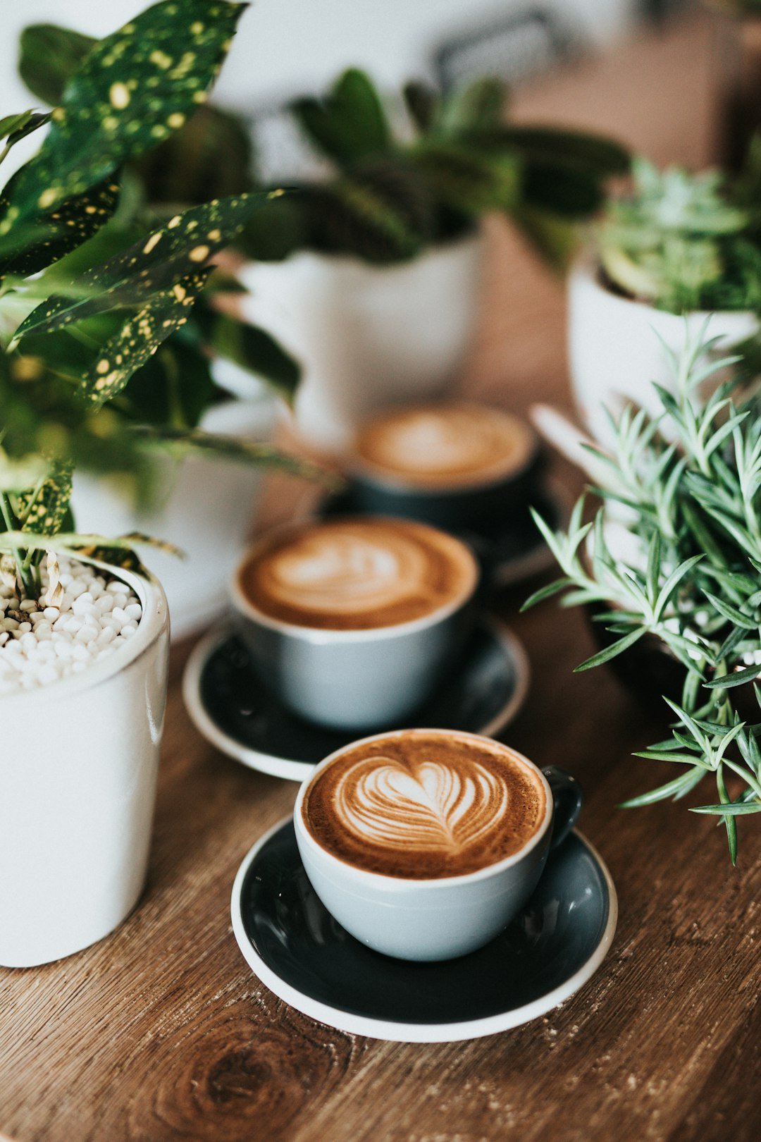 Ceremonia del Café